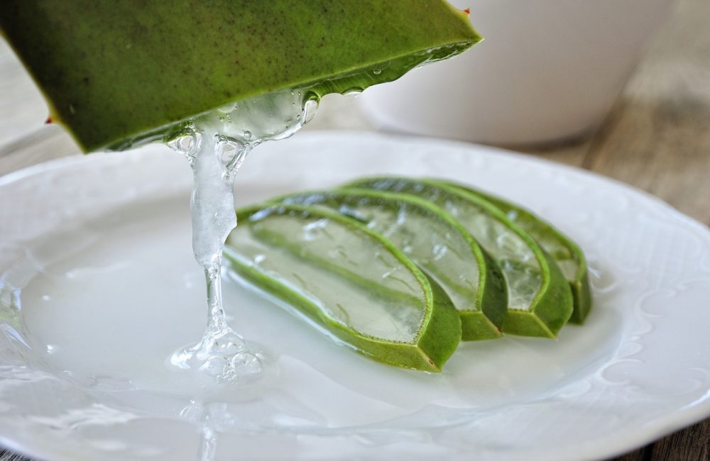 aloe, aloe vera, aloe gel