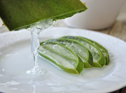 aloe, aloe vera, aloe gel
