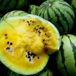 16 Best Health Benefits of Yellow Watermelon for Children