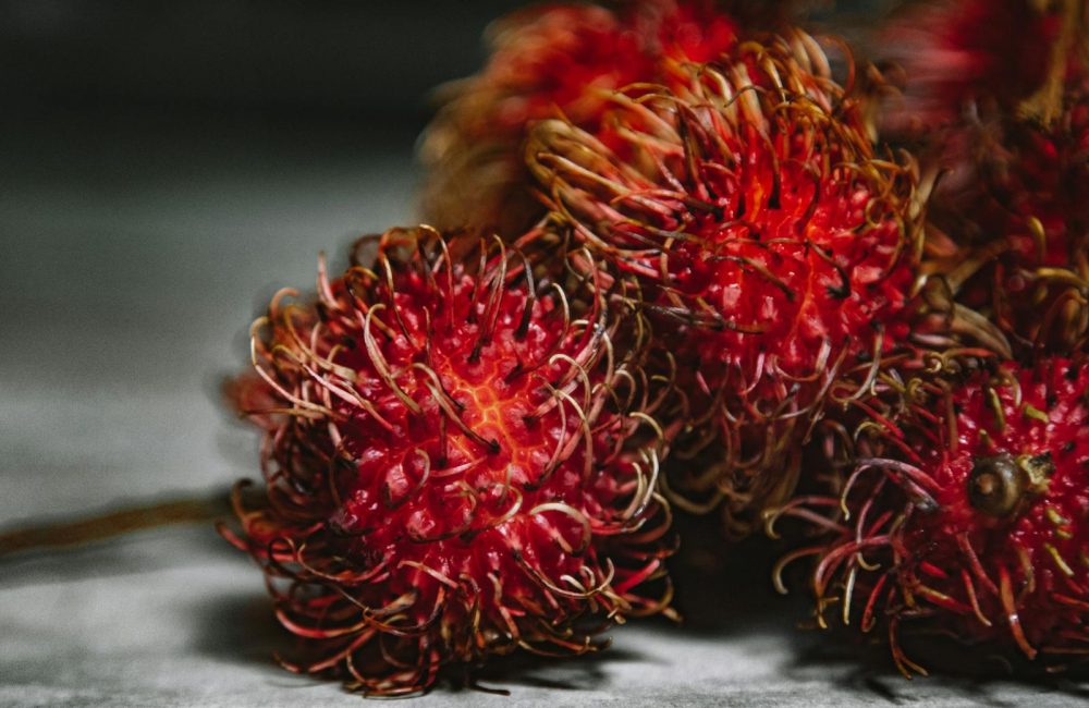 Rambutan Fruit