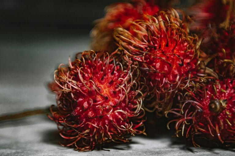 16 Best Health Benefits of Rambutan for Women