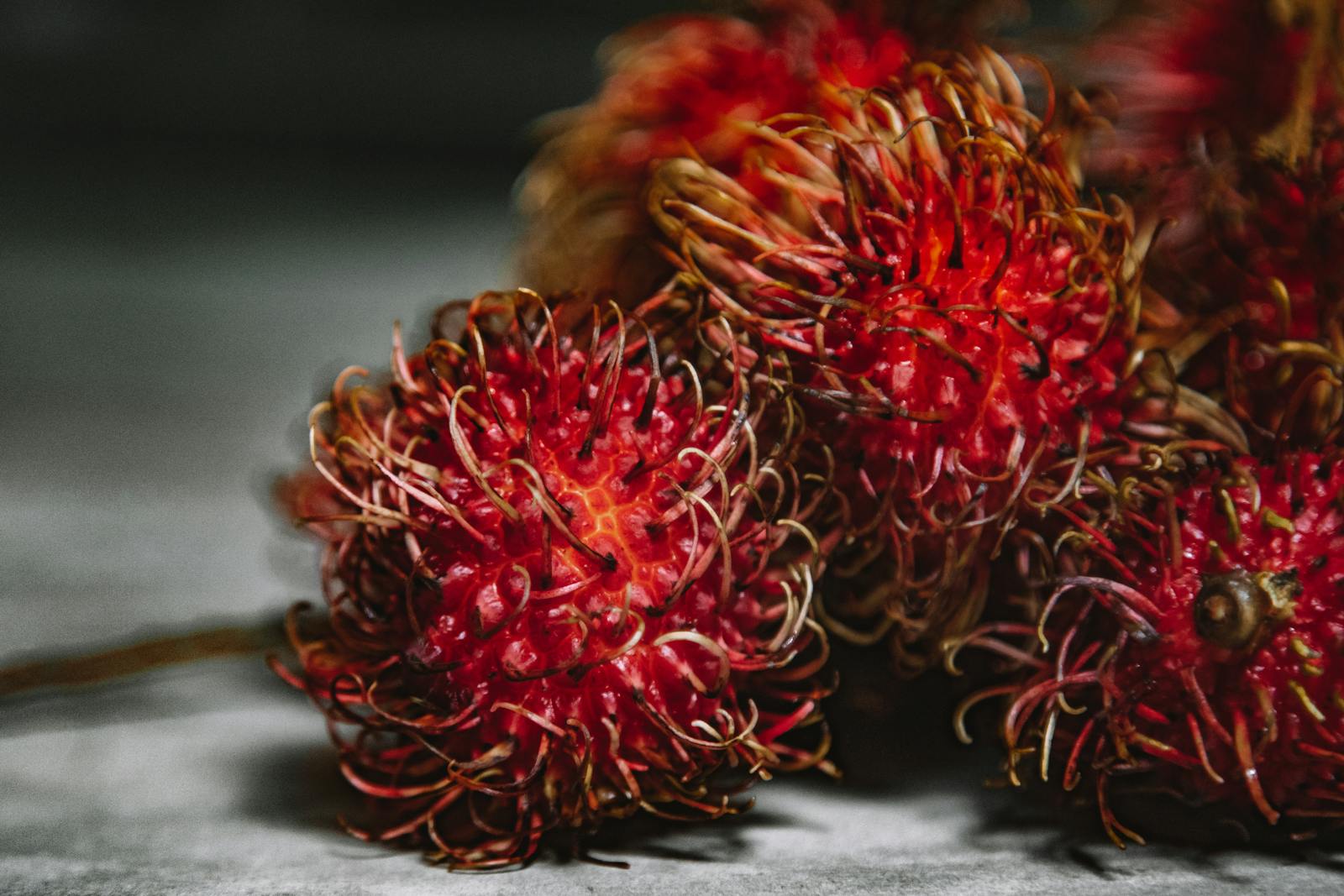 Rambutan Fruit
