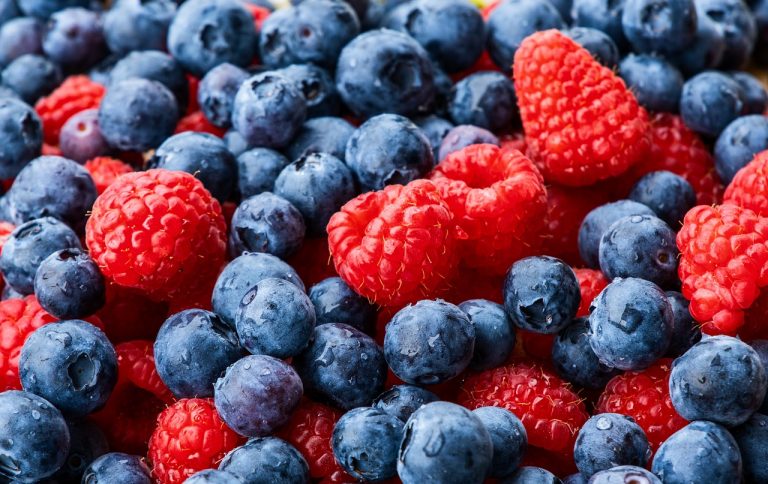 Optimal Diet Recommendations for People with Fibromyalgia