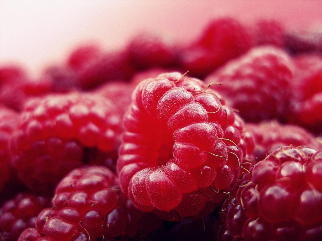 15 Best Health Benefits of Raspberries for Children 1 15 Best Health Benefits of Raspberries for Children