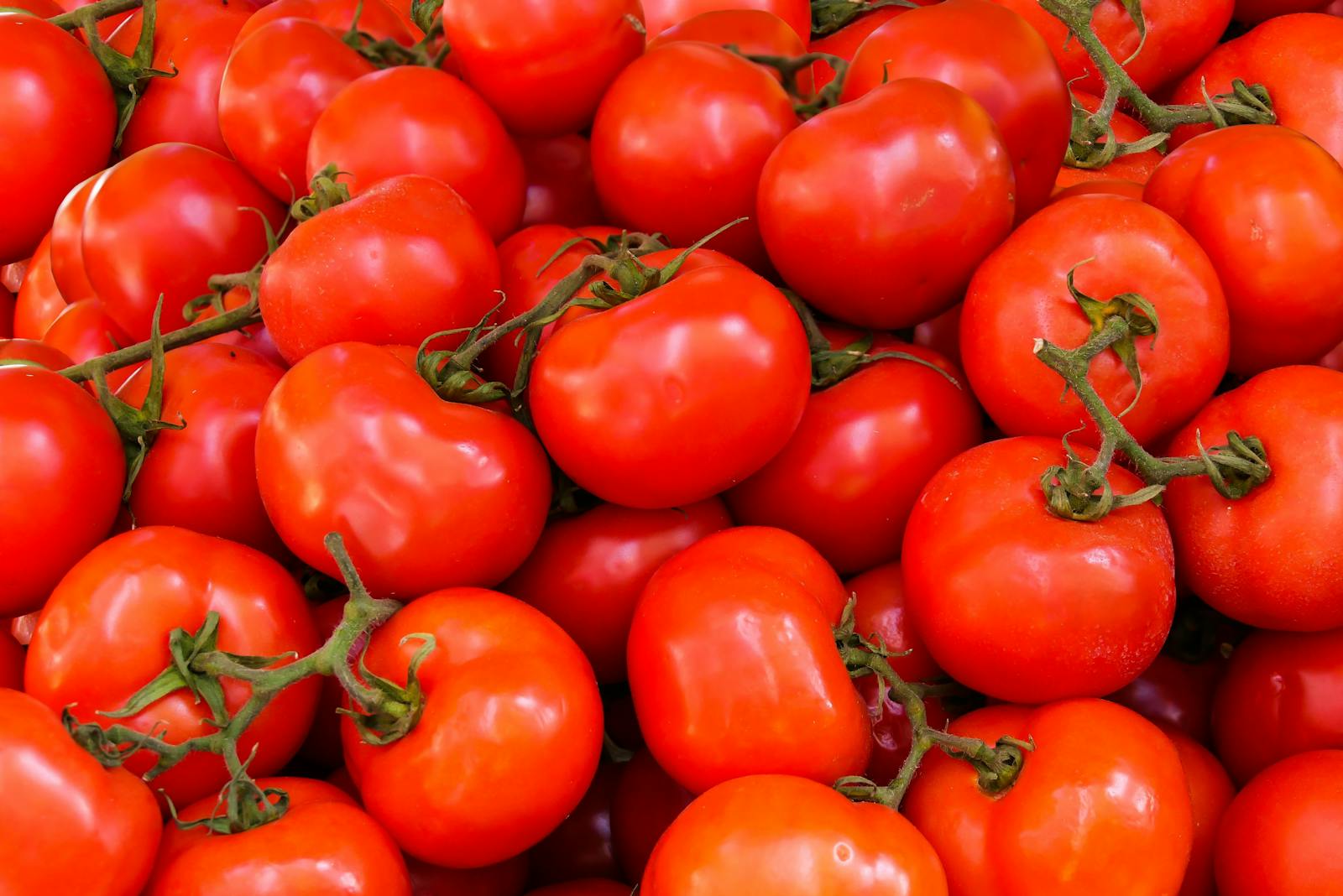 16 Best Nightshade Vegetables for People Seeking Anti-Inflammatory Foods 1 Pile of Red Tomatoes