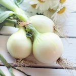 11 Natural Remedies for Managing Mastocytosis