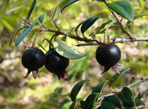 552b1f58 5736 4634 bc1d a08926402f8f