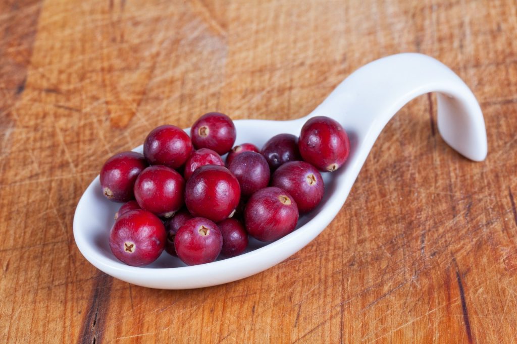 10 Best Health Benefits of Cranberries for Children