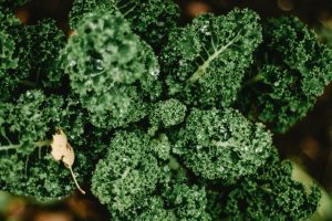 15 Best Foods Rich in Lutein for People with Vision Concerns