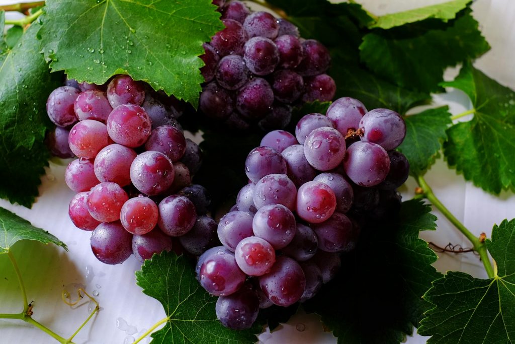 Are Grapes Safe for People with Diabetes?