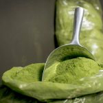 Is Consuming Moringa Powder Beneficial for Nutritional Intake?
