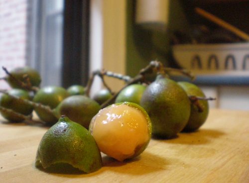 71593a1e 1cfe 49ff a35d 78103c8996f5