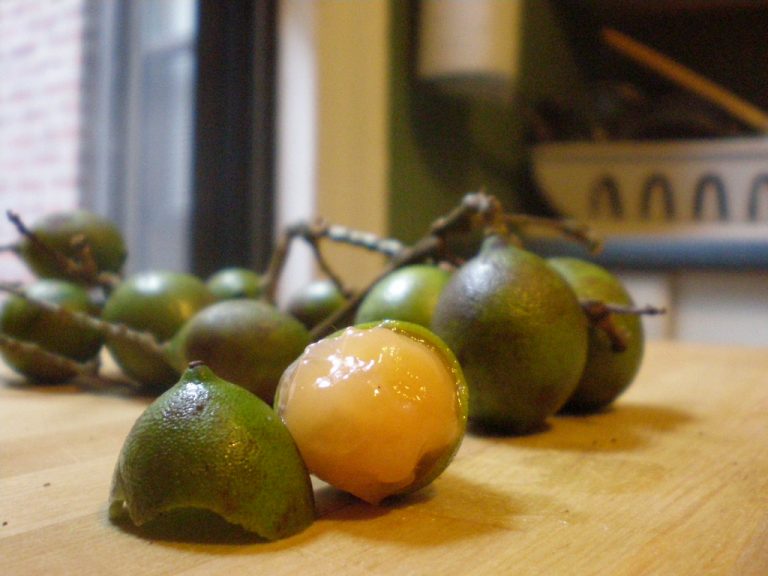 15 Surprising Health Benefits of Eating Quenepas