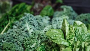 14 Best Foods for Blood Sugar Stabilization and Insulin Sensitivity
