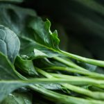 12 Best Foods for Reproductive Health and Fertility