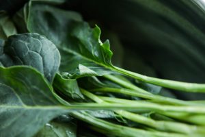 12 Best Foods for Reproductive Health and Fertility
