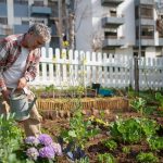 How Permaculture Works: Sustainable Living Explained
