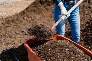 What Exactly is Composting and What is it Used For?