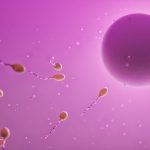 15 Best Foods for Enhancing Male Fertility