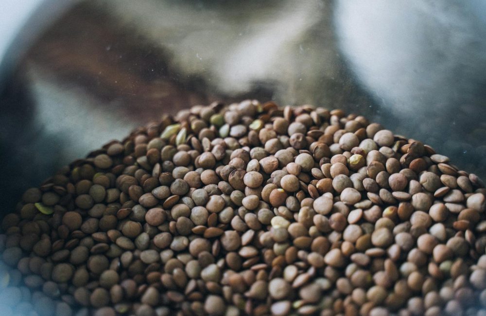 Organic Seeds in Abundance