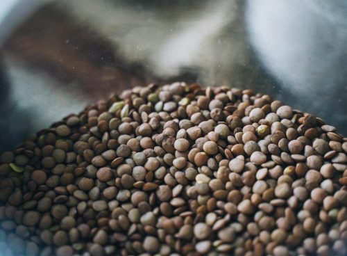 Organic Seeds in Abundance