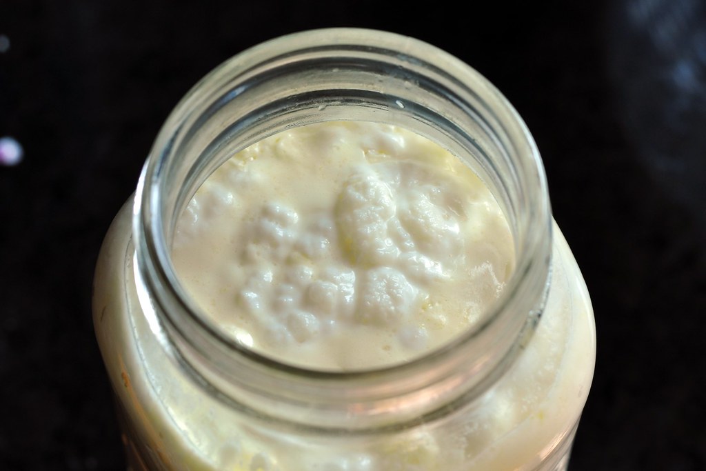 17 Amazing Health Benefits of Kefir You Should Take Advantage Of