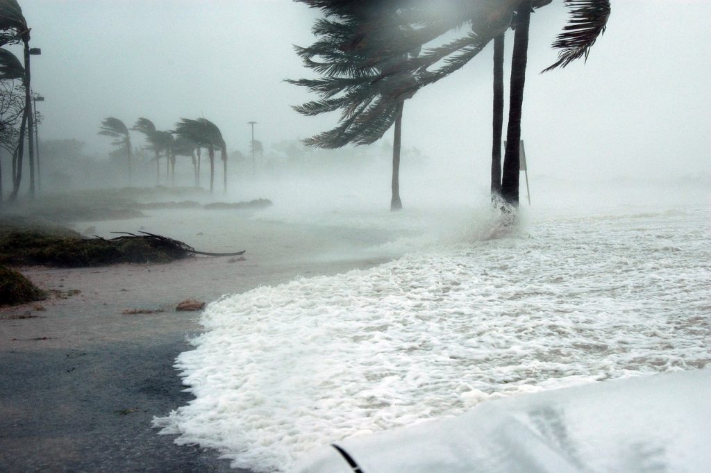 What's the Difference Between a Hurricane and a Typhoon? 1 What’s the Difference Between a Hurricane and a Typhoon?
