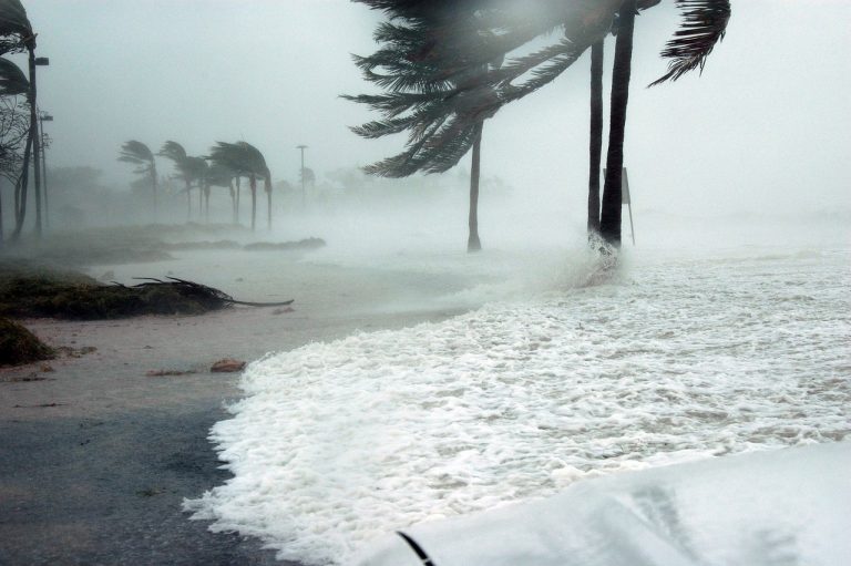 What’s the Difference Between a Hurricane and a Typhoon?