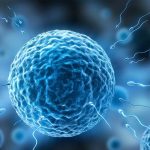 16 Best Foods for Enhancing Sperm Quality