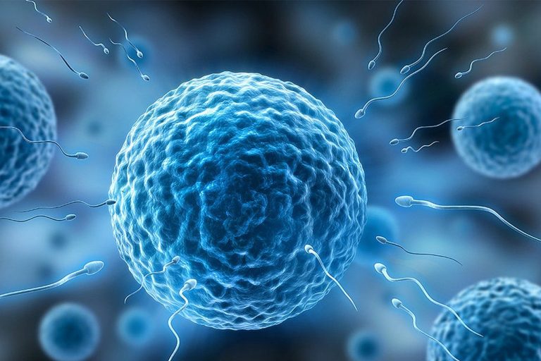 16 Best Foods for Enhancing Sperm Quality