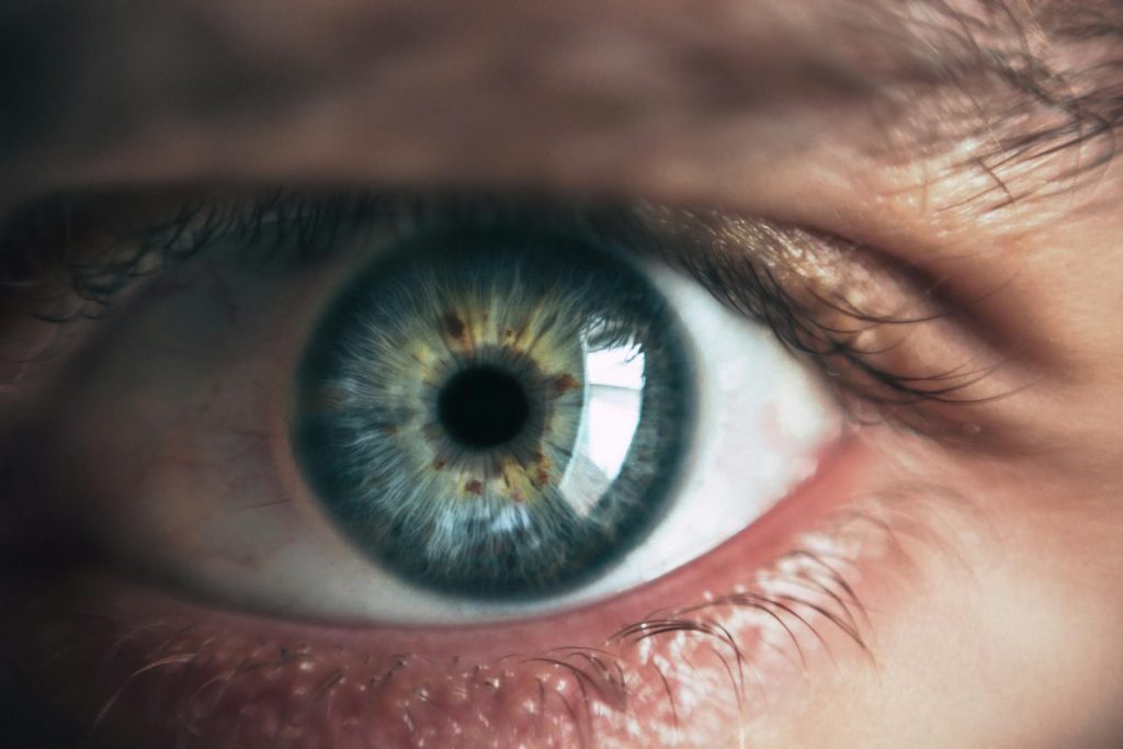 10 Best Foods High in Xanthophylls for Eye Health 1 10 Best Foods High in Xanthophylls for Eye Health