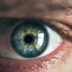10 Best Foods High in Xanthophylls for Eye Health