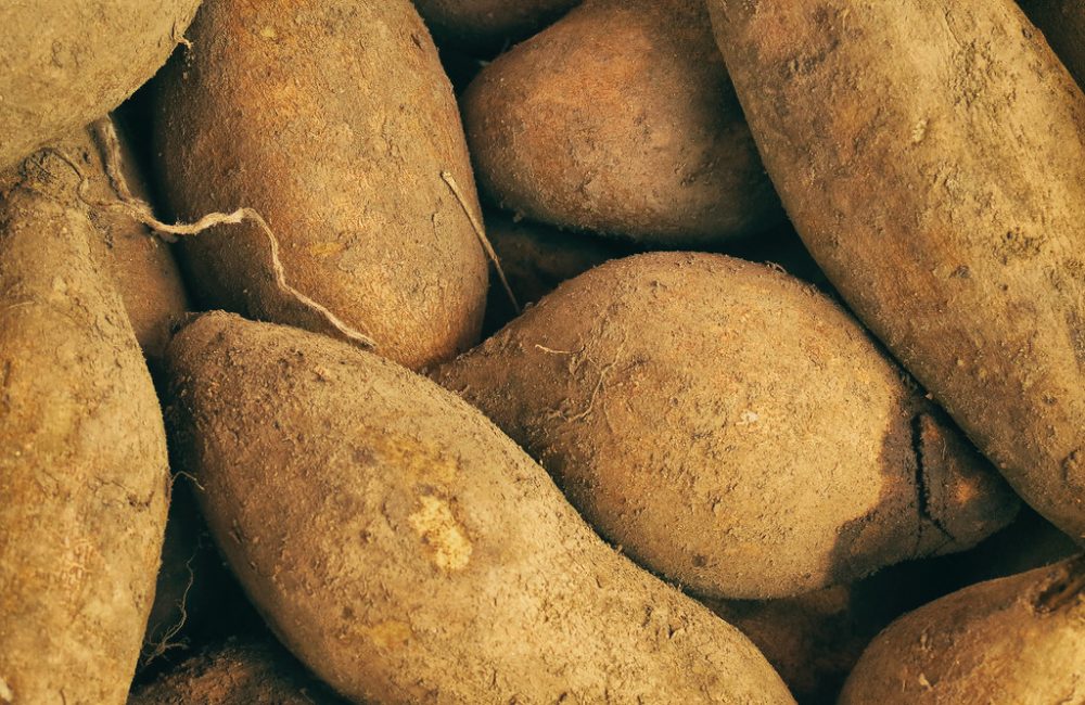 87e58b19 34c7 411d 8eff d565beea0de0