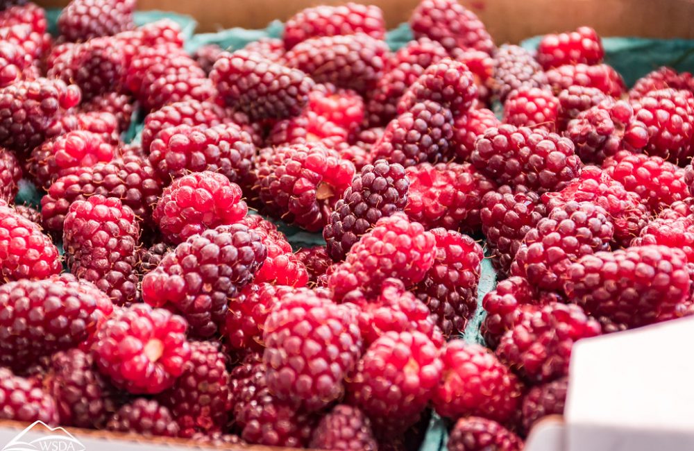 882e812c 7b4c 4b49 bc9d 5850c0ada409