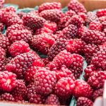 16 Amazing Health Benefits of Eating Tayberries