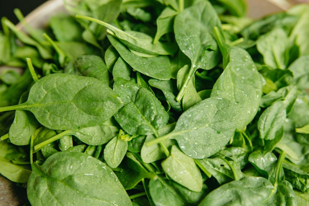 15 Best Foods Rich in Myricetin for Anti-Aging Benefits 1 15 Best Foods Rich in Myricetin for Anti-Aging Benefits