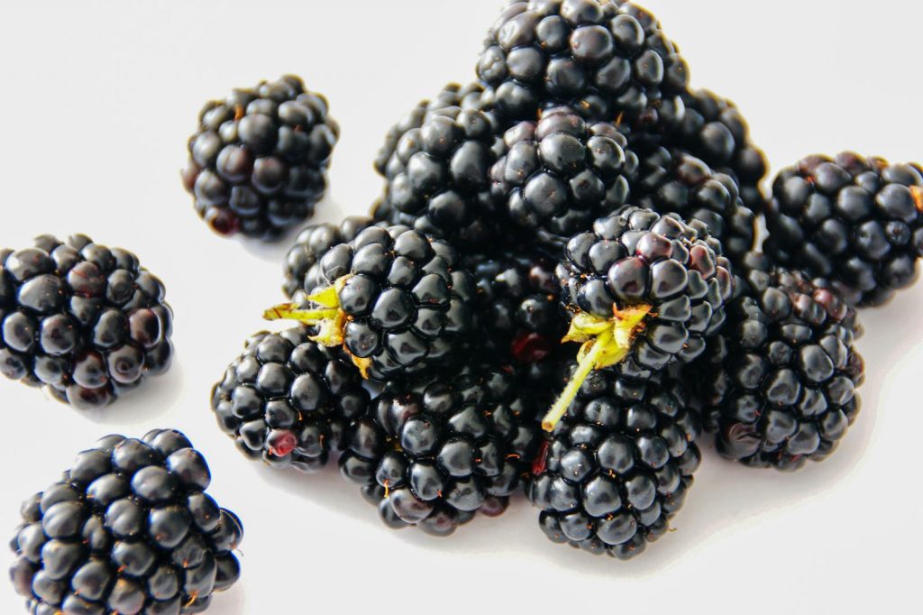 16 Amazing Health Benefits of Blackberry