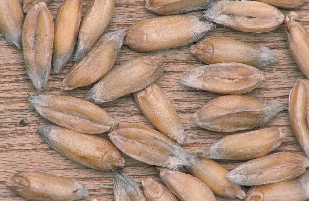 89cc012d 8f5c 49b5 be99 094b0fa82612