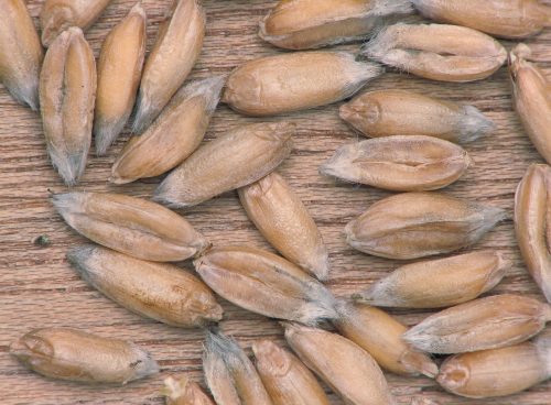 89cc012d 8f5c 49b5 be99 094b0fa82612