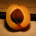12 Best Health Benefits of Apricots for Men