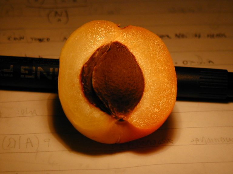 12 Best Health Benefits of Apricots for Men