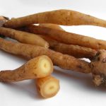 16 Amazing Health Benefits of Fingerroot