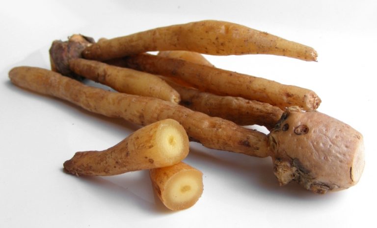 16 Amazing Health Benefits of Fingerroot