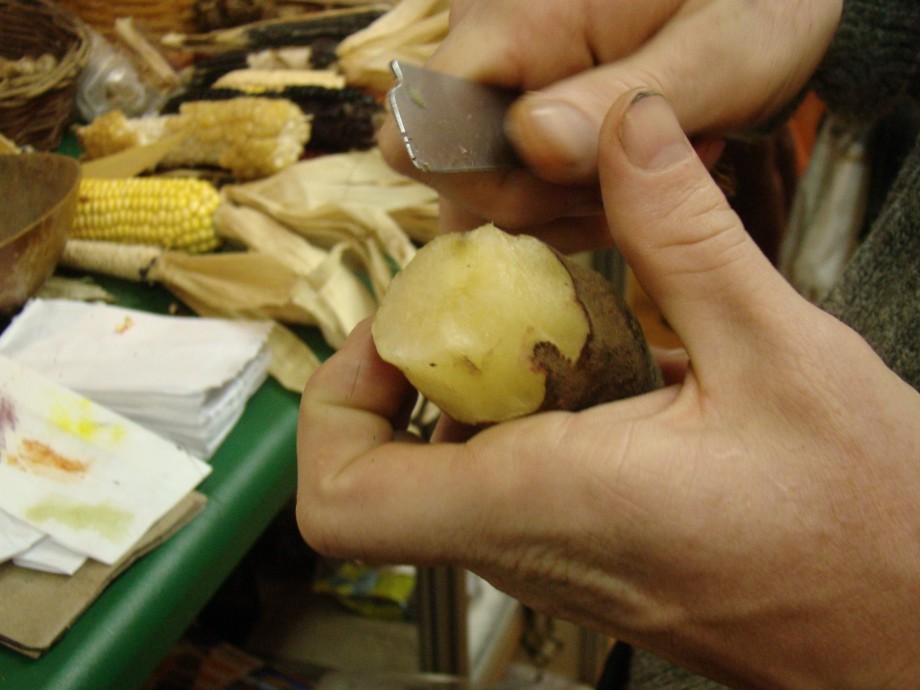 13 Amazing Health Benefits of Yacon 2 92a24546 b271 404a 80d6 6cc2a8519c96