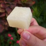 16 Amazing Health Benefits of Jicama