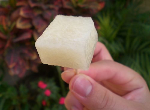 Jicama
