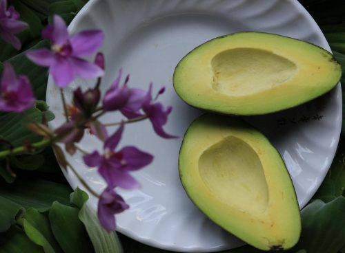 avocado