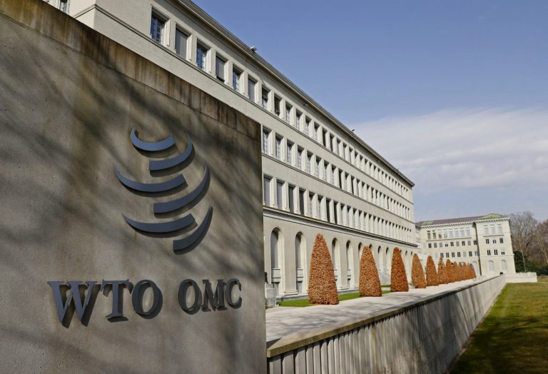 What Exactly Does the WTO Do?