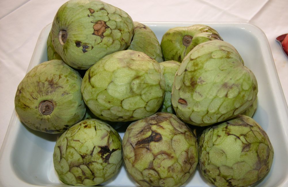 Cherimoya