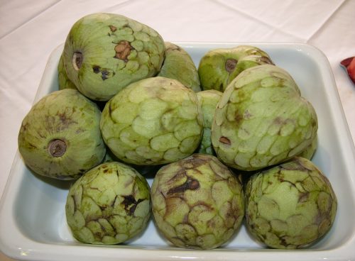 Cherimoya